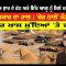 ਕਹਾਣੀ ਅਮਿਤ ਸ਼ਾਹ ਦੇ ਫੋਨ ਅਤੇ ਸਿੱਖ ਆਗੂ ਨੂੰ ਮਿਲੇ ਪਦਮ-ਭੂਸ਼ਣ ਦੀ  | Mintu Gurusaria | Kisan Andolan | CPCTV