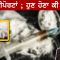 ਡਰੱਗ ਰੀਪੋਰਟਾਂ ; ਹੁਣ ਹੋਣਾ ਕੀ ਬਾਕੀ ? CPC TV | Mintu Gurusaria